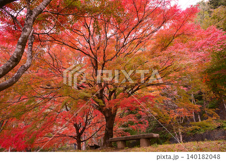 丹沢湖の紅葉 丹沢湖の紅葉 140182048