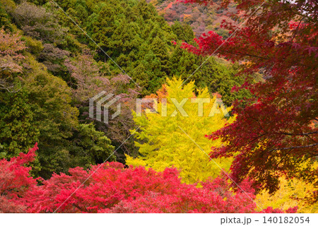 丹沢湖の紅葉 丹沢湖の紅葉 140182054