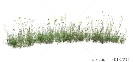 Wild grass and flowers isolated on white background 140182296
