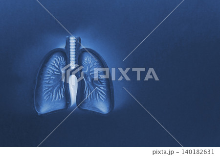 Digital Glowing Lung Anatomy Visualization on Dark Blue Background. Medical Concept Digital Glowing Lung Anatomy Visualization on Dark Blue Background. Medical Concept 140182631