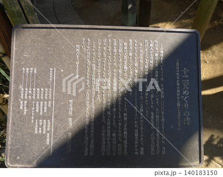 川崎市稲毛神社 大銀杏 川崎市稲毛神社 大銀杏 140183150