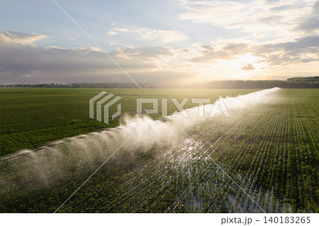 Aerial view of agricultural watering pivot irrigation system on a corn field at sunset. 140183265