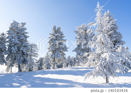 Snow covered trees. Winter forest. Snow covered trees. Winter forest. 140183416