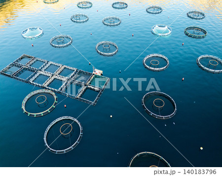 Aerial view of a fish farm located in a calm coastal bay, with floating cages arranged on the water surface. 140183796