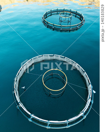Aerial view of a fish farm with floating cages arranged on the water surface. Modern aquaculture and sustainable seafood production. 140183829