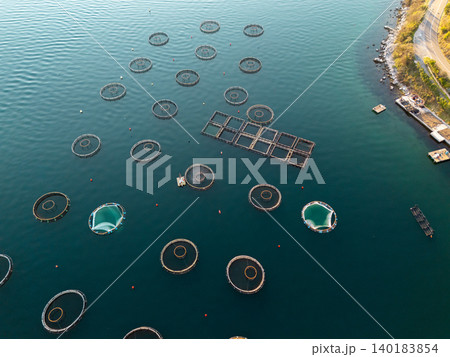 Aerial view of a fish farm located in a calm coastal bay, with floating cages arranged on the water surface. Aerial view of a fish farm located in a calm coastal bay, with floating cages arranged on the water surface. 140183854