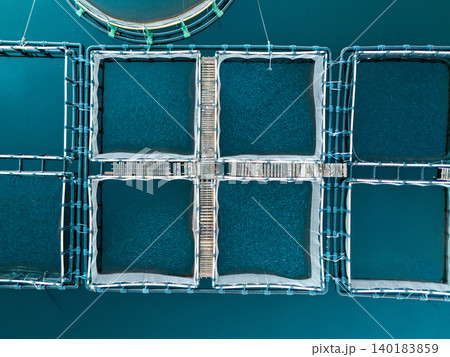 Aerial view of a fish farm located in a calm coastal bay, with floating cages arranged on the water surface. Aerial view of a fish farm located in a calm coastal bay, with floating cages arranged on the water surface. 140183859