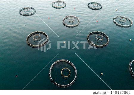 Aerial view of a fish farm located in a calm coastal bay, with floating cages arranged on the water surface. Aerial view of a fish farm located in a calm coastal bay, with floating cages arranged on the water surface. 140183863