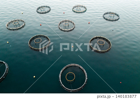 Aerial view of a fish farm located in a calm coastal bay, with floating cages arranged on the water surface. Aerial view of a fish farm located in a calm coastal bay, with floating cages arranged on the water surface. 140183877