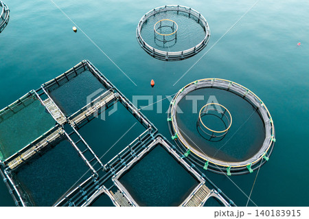 Aerial view of a fish farm located in a calm coastal bay, with floating cages arranged on the water surface. Aerial view of a fish farm located in a calm coastal bay, with floating cages arranged on the water surface. 140183915