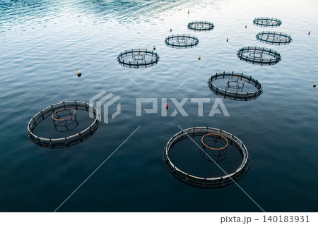 Aerial view of a fish farm located in a calm coastal bay, with floating cages arranged on the water surface. Aerial view of a fish farm located in a calm coastal bay, with floating cages arranged on the water surface. 140183931