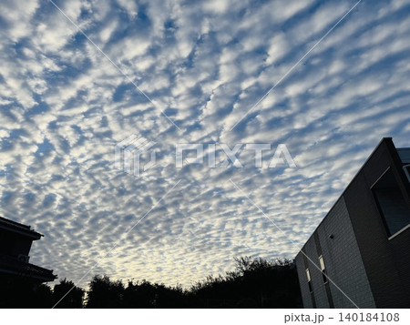 ひつじ雲 ひつじ雲 140184108
