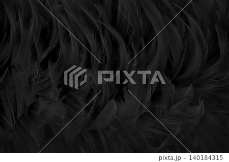 Beautiful black grey bird feathers pattern texture background. 140184315