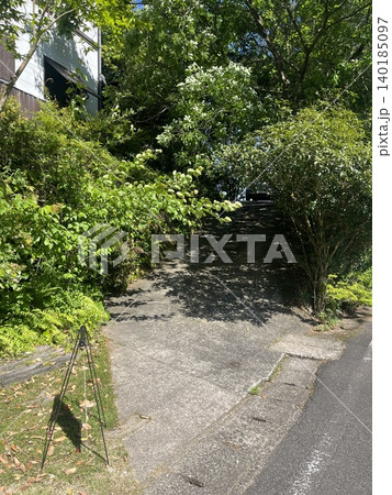 素敵な池を眺める穴場のカフェへ続く道 140185097
