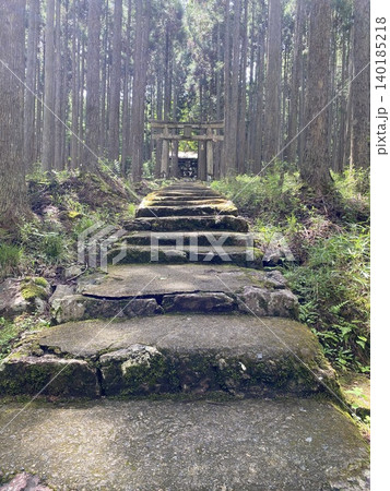 杉林に続く苔むした石段と鳥居のある神秘的な参道 杉林に続く苔むした石段と鳥居のある神秘的な参道 140185218