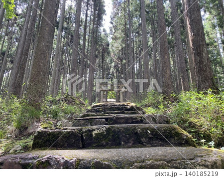杉並木の奥へ続く石段参道と静寂の森 杉並木の奥へ続く石段参道と静寂の森 140185219