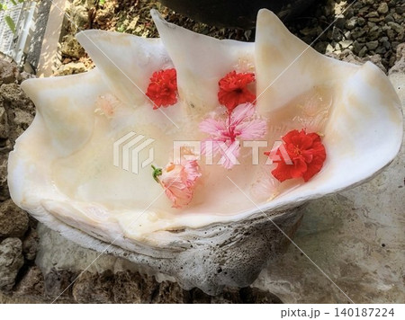 リゾートホテルのスパを思わせるシャコガイの貝殻に浮かべたハイビスカスの花 リゾートホテルのスパを思わせるシャコガイの貝殻に浮かべたハイビスカスの花 140187224