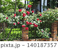 バラのある風景　園芸　　レンガフェンス 140187357