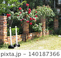バラのある風景　園芸　　レンガフェンス 140187366