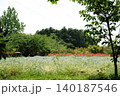 丘の上に広がる花たち 140187546