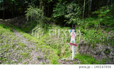 大姥山 登山道 長野県 大姥山 登山道 長野県 140187856