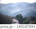 風にあおられて飛散する好き背花粉の様子 140187893