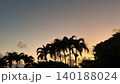 夕焼けに染まる椰子の木 140188024