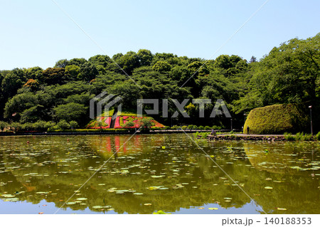 蓮華寺池公園 蓮華寺池 藤枝市 静岡県 東海地方 花・水・鳥・笑顔の楽園 蓮 れんげじいけ 蓮華寺池公園 蓮華寺池 藤枝市 静岡県 東海地方 花・水・鳥・笑顔の楽園 蓮 れんげじいけ 140188353