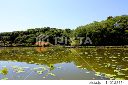 蓮華寺池公園 蓮華寺池 藤枝市 静岡県 東海地方 花・水・鳥・笑顔の楽園 蓮 れんげじいけ 蓮華寺池公園 蓮華寺池 藤枝市 静岡県 東海地方 花・水・鳥・笑顔の楽園 蓮 れんげじいけ 140188354