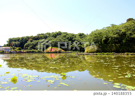 蓮華寺池公園 蓮華寺池 藤枝市 静岡県 東海地方 花・水・鳥・笑顔の楽園 蓮 れんげじいけ 蓮華寺池公園 蓮華寺池 藤枝市 静岡県 東海地方 花・水・鳥・笑顔の楽園 蓮 れんげじいけ 140188355