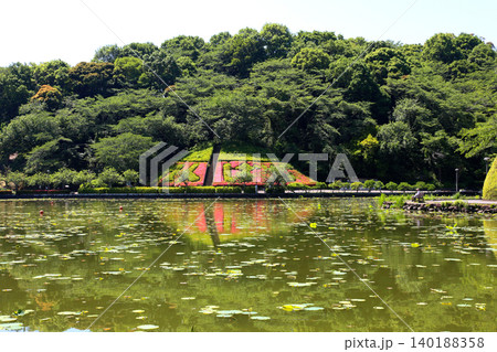 蓮華寺池公園 蓮華寺池 藤枝市 静岡県 東海地方 花・水・鳥・笑顔の楽園 蓮 れんげじいけ 蓮華寺池公園 蓮華寺池 藤枝市 静岡県 東海地方 花・水・鳥・笑顔の楽園 蓮 れんげじいけ 140188358