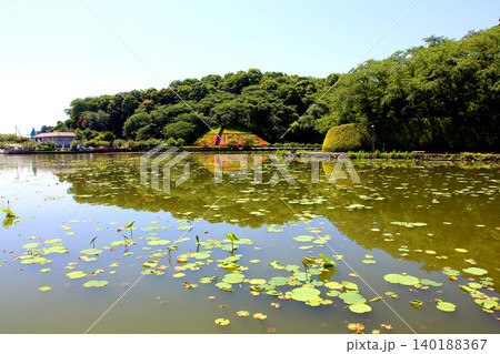 蓮華寺池公園　蓮華寺池　藤枝市　静岡県　東海地方　花・水・鳥・笑顔の楽園　蓮　れんげじいけ 140188367