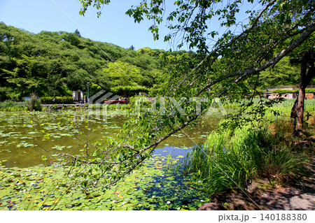 蓮華寺池公園 蓮華寺池 藤枝市 静岡県 東海地方 花・水・鳥・笑顔の楽園 蓮 れんげじいけ 蓮華寺池公園 蓮華寺池 藤枝市 静岡県 東海地方 花・水・鳥・笑顔の楽園 蓮 れんげじいけ 140188380