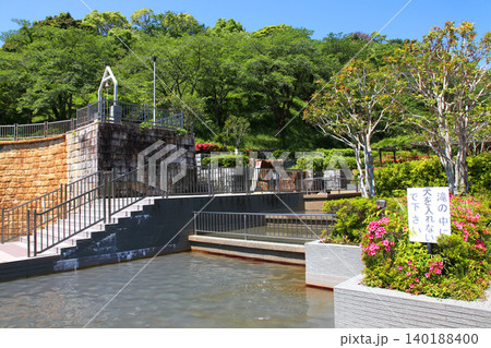 蓮華寺池公園 蓮華寺池 藤枝市 静岡県 東海地方 花・水・鳥・笑顔の楽園 蓮 れんげじいけ 蓮華寺池公園 蓮華寺池 藤枝市 静岡県 東海地方 花・水・鳥・笑顔の楽園 蓮 れんげじいけ 140188400