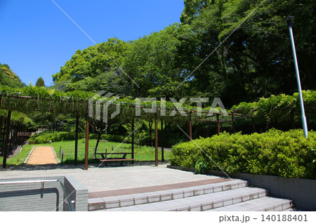 蓮華寺池公園　蓮華寺池　藤枝市　静岡県　東海地方　花・水・鳥・笑顔の楽園　蓮　れんげじいけ 140188401