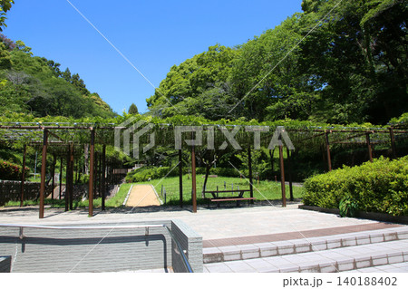 蓮華寺池公園 蓮華寺池 藤枝市 静岡県 東海地方 花・水・鳥・笑顔の楽園 蓮 れんげじいけ 蓮華寺池公園 蓮華寺池 藤枝市 静岡県 東海地方 花・水・鳥・笑顔の楽園 蓮 れんげじいけ 140188402