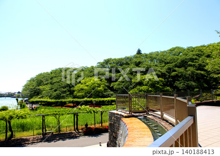 蓮華寺池公園 蓮華寺池 藤枝市 静岡県 東海地方 花・水・鳥・笑顔の楽園 蓮 れんげじいけ 蓮華寺池公園 蓮華寺池 藤枝市 静岡県 東海地方 花・水・鳥・笑顔の楽園 蓮 れんげじいけ 140188413