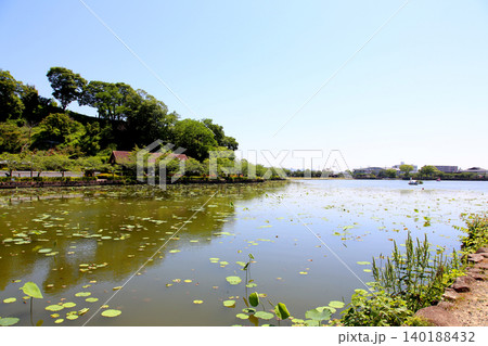 蓮華寺池公園 蓮華寺池 藤枝市 静岡県 東海地方 花・水・鳥・笑顔の楽園 蓮 れんげじいけ 蓮華寺池公園 蓮華寺池 藤枝市 静岡県 東海地方 花・水・鳥・笑顔の楽園 蓮 れんげじいけ 140188432