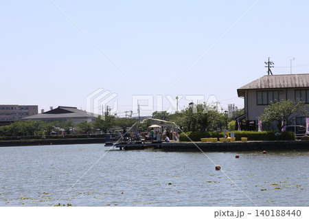 蓮華寺池公園 蓮華寺池 藤枝市 静岡県 東海地方 花・水・鳥・笑顔の楽園 蓮 れんげじいけ 蓮華寺池公園 蓮華寺池 藤枝市 静岡県 東海地方 花・水・鳥・笑顔の楽園 蓮 れんげじいけ 140188440