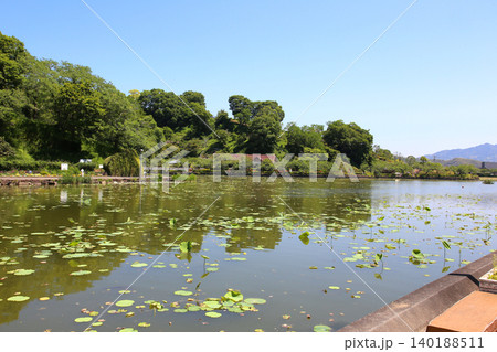 蓮華寺池公園　蓮華寺池　藤枝市　静岡県　東海地方　花・水・鳥・笑顔の楽園　蓮　れんげじいけ 140188511