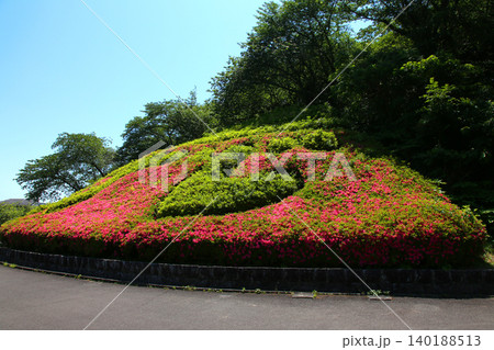 蓮華寺池公園　蓮華寺池　藤枝市　静岡県　東海地方　花・水・鳥・笑顔の楽園　蓮　れんげじいけ 140188513