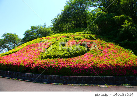 蓮華寺池公園　蓮華寺池　藤枝市　静岡県　東海地方　花・水・鳥・笑顔の楽園　蓮　れんげじいけ 140188514