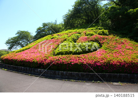 蓮華寺池公園 蓮華寺池 藤枝市 静岡県 東海地方 花・水・鳥・笑顔の楽園 蓮 れんげじいけ 蓮華寺池公園 蓮華寺池 藤枝市 静岡県 東海地方 花・水・鳥・笑顔の楽園 蓮 れんげじいけ 140188515