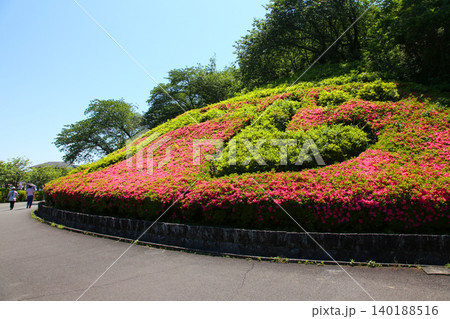 蓮華寺池公園 蓮華寺池 藤枝市 静岡県 東海地方 花・水・鳥・笑顔の楽園 蓮 れんげじいけ 蓮華寺池公園 蓮華寺池 藤枝市 静岡県 東海地方 花・水・鳥・笑顔の楽園 蓮 れんげじいけ 140188516