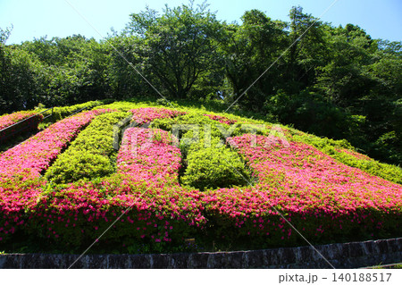 蓮華寺池公園　蓮華寺池　藤枝市　静岡県　東海地方　花・水・鳥・笑顔の楽園　蓮　れんげじいけ 140188517