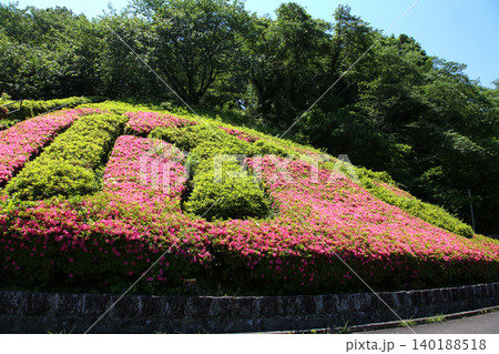 蓮華寺池公園　蓮華寺池　藤枝市　静岡県　東海地方　花・水・鳥・笑顔の楽園　蓮　れんげじいけ 140188518