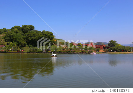 蓮華寺池公園 蓮華寺池 藤枝市 静岡県 東海地方 花・水・鳥・笑顔の楽園 蓮 れんげじいけ 蓮華寺池公園 蓮華寺池 藤枝市 静岡県 東海地方 花・水・鳥・笑顔の楽園 蓮 れんげじいけ 140188572