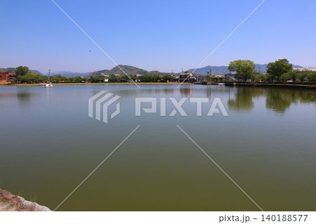 蓮華寺池公園　蓮華寺池　藤枝市　静岡県　東海地方　花・水・鳥・笑顔の楽園　蓮　れんげじいけ 140188577