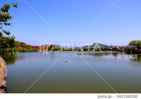 蓮華寺池公園　蓮華寺池　藤枝市　静岡県　東海地方　花・水・鳥・笑顔の楽園　蓮　れんげじいけ 140188580