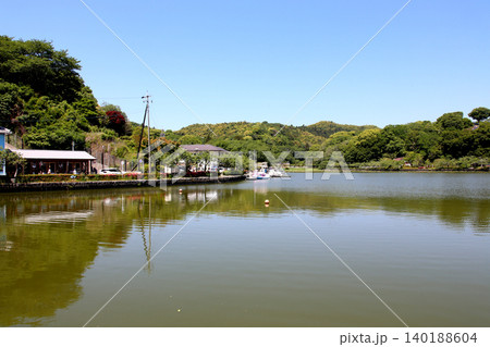 蓮華寺池公園　蓮華寺池　藤枝市　静岡県　東海地方　花・水・鳥・笑顔の楽園　蓮　れんげじいけ 140188604